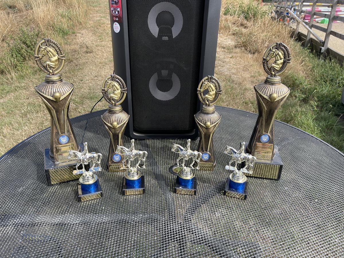 Trophies (Copy)