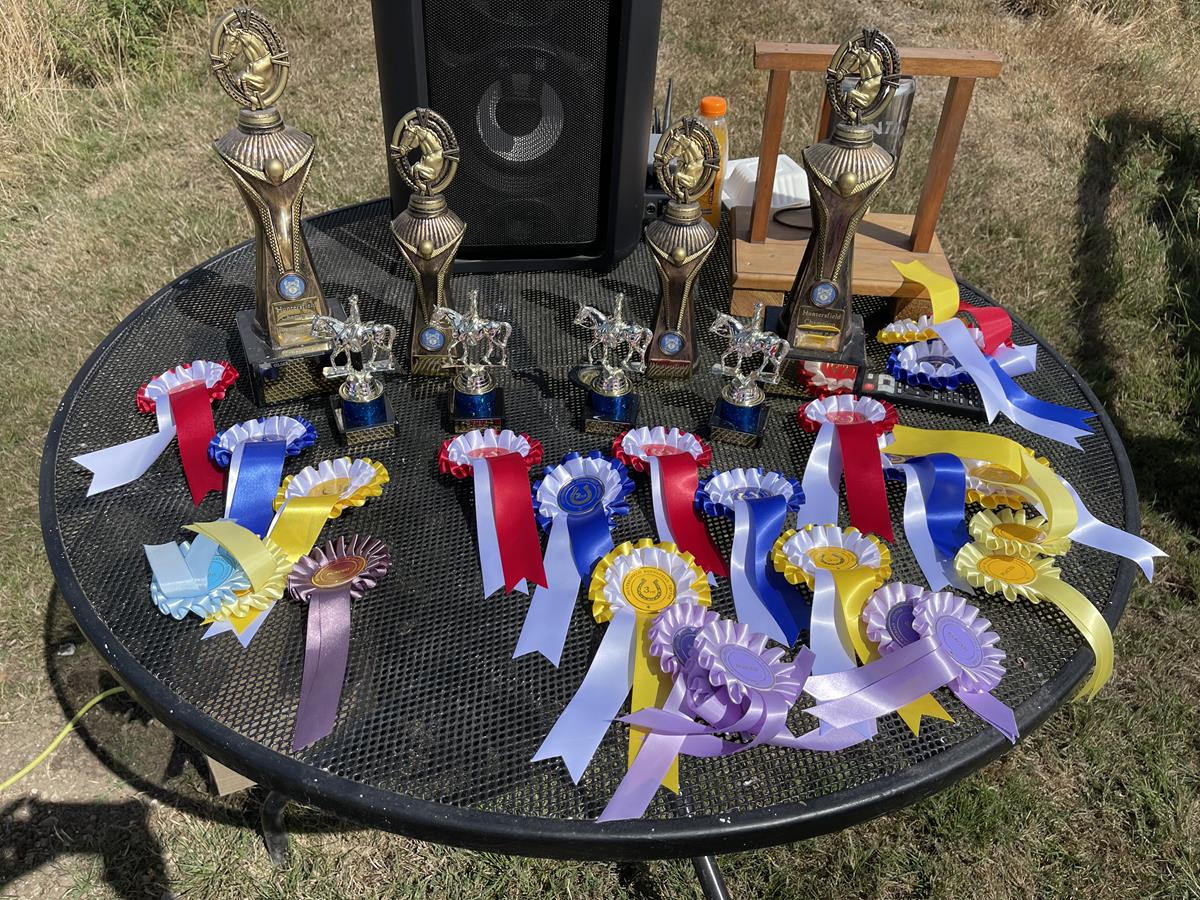Trophies & Rosettes (Copy)