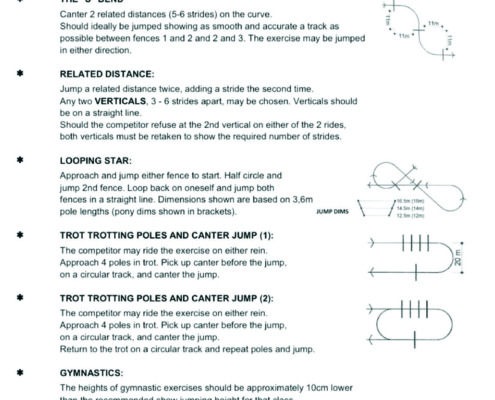 Equitation Movements Explained Page 3