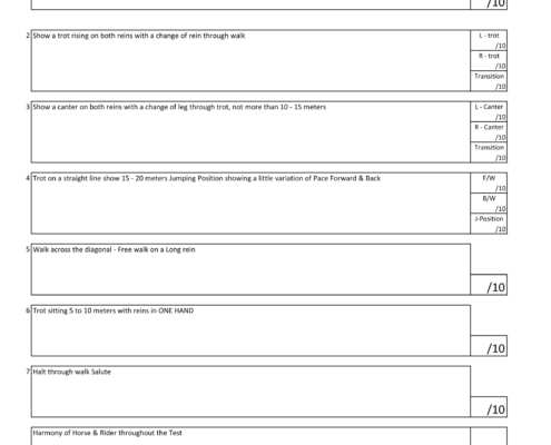 NOVICE TEST 1