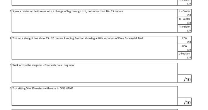 NOVICE TEST 1