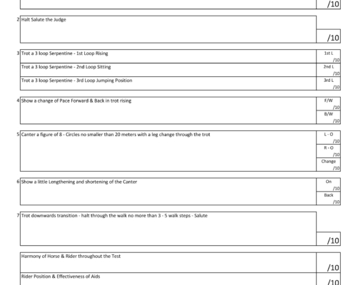 NOVICE TEST 2