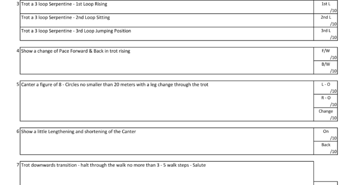 NOVICE TEST 2
