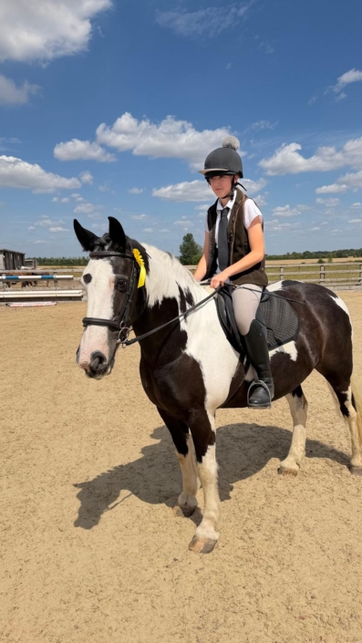 Clear Round 40cm Emily on Dotti